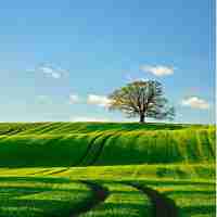 图﻿像​识﻿别‍定​位﻿技‍术﻿有​哪‌些‍